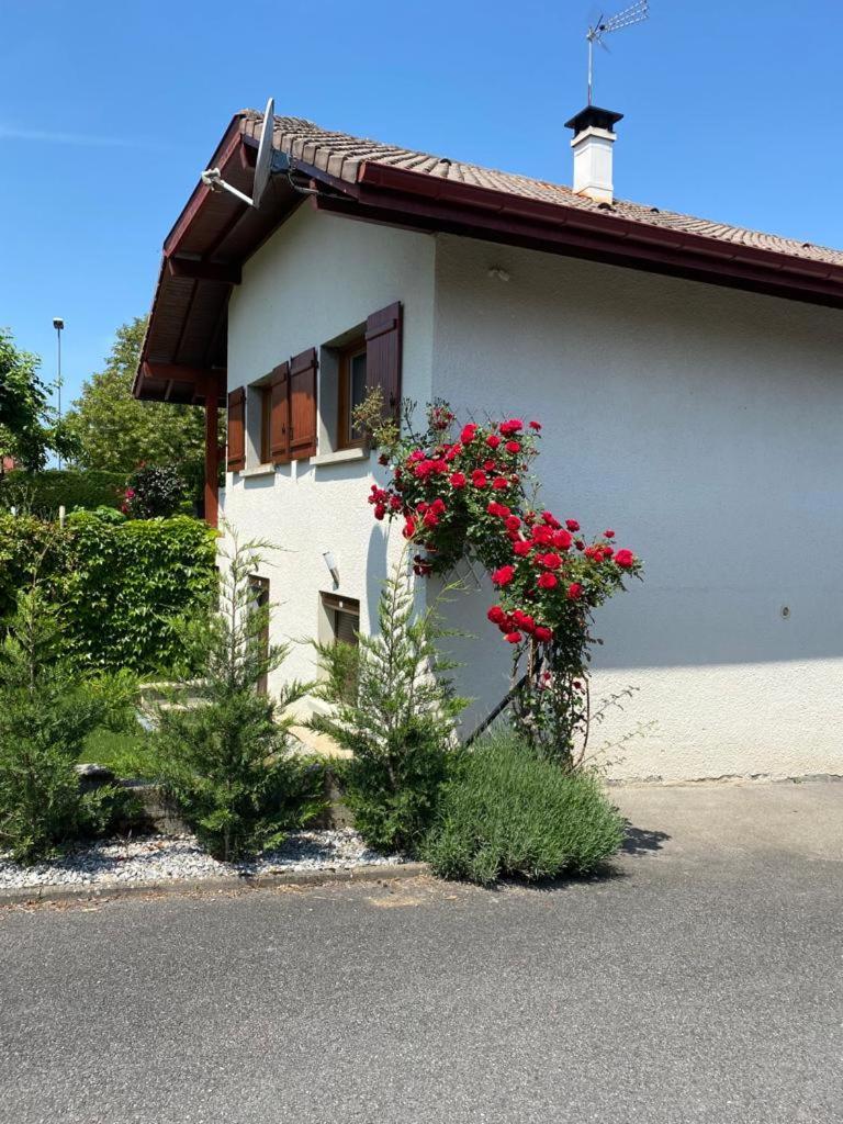 Ferienwohnung Chez Patrick Et Dominique Saint-Pierre-en-Faucigny Exterior foto